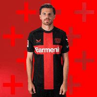 Bayer 04 Love GIF by Bayer 04 Leverkusen