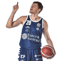 dinamo_sassari basketball basket dinamo lba Sticker
