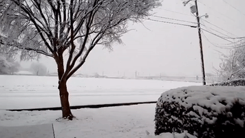 Winter Storm Brings Early Morning Snow to Texas