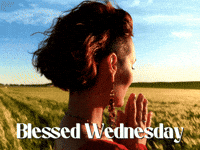 Pray Wednesday Morning GIF by Sealed With A GIF