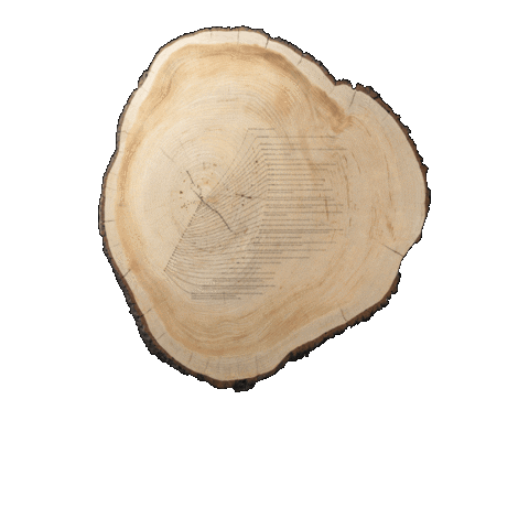 Womens Rights Art Sticker