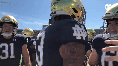 Notre Dame Ndfb GIF by Notre Dame Fighting Irish