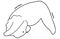 Yoga Yogi Sticker