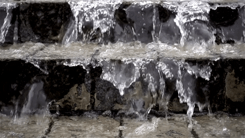 greglefevere giphygifmaker GIF