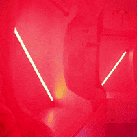 Letsgopeay GIF by Austin Peay Athletics