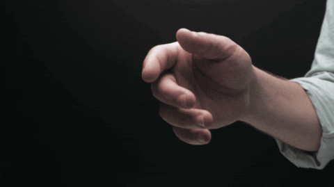 seda2022 giphyupload GIF