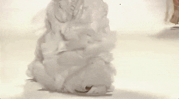 spring summer 2017 collection jonathan simkhai GIF by NYFW: The Shows