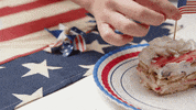 Independence Day Summer GIF by evite
