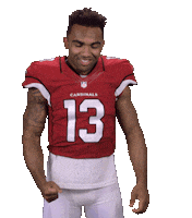 Arizona Cardinals Stickers Sticker by NFL