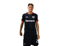 Bayer 04 Werkself Sticker by Bayer 04 Leverkusen