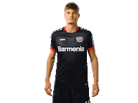 Bayer 04 Werkself Sticker by Bayer 04 Leverkusen