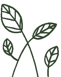 Plants Leaves Sticker