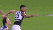 Aussie Rules Celebration GIF by Port Adelaide FC