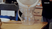 viceland GIF by Kentucky Ayahuasca