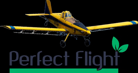 PerfectFlight giphygifmaker agro aviao agricola GIF