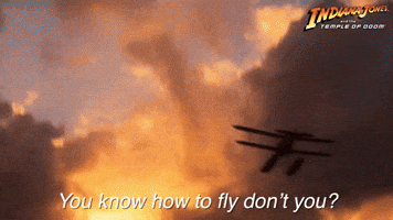You know how to fly, don't you?