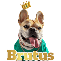 French Bulldog Sticker by Pimp Yo Pets
