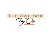 Theowlbox retro vintage home sparkle Sticker