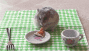 Pizza Hamster GIF