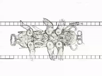 animation studio GIF by Alex Boya