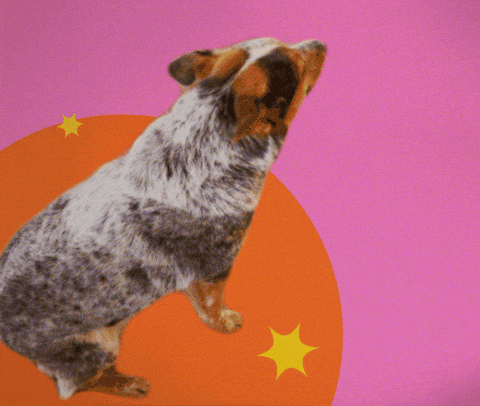 How U Doin GIF by GIPHY Studios 2022