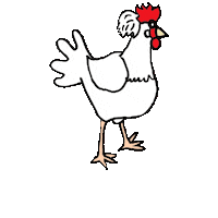 Chicken Sticker