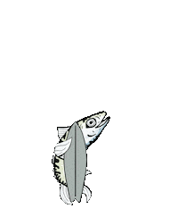 EauLarge fish surf board poisson Sticker