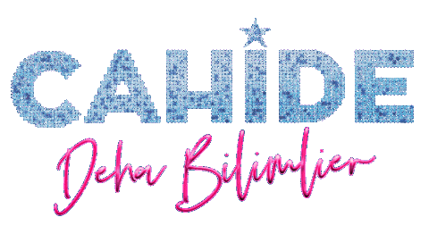 Deha Bilimlier Sticker by Cahide Palazzo
