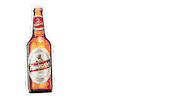 Friday Cheers Sticker by Niislel Brand