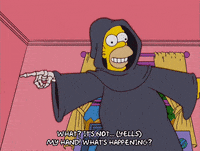 homer simpson GIF