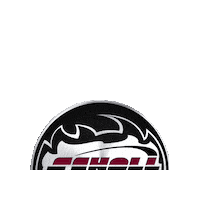 SchollConcepts detailing car care carcare car detailing Sticker