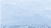 Pitt Ucm GIF by University of Pittsburgh