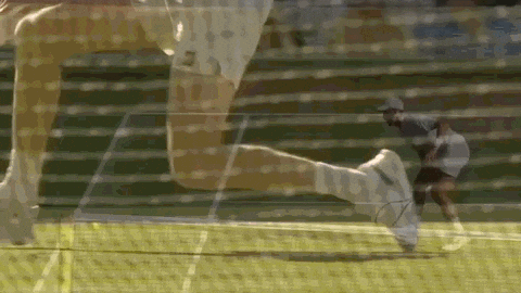 Sport Tennis GIF by Wimbledon