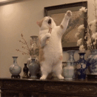 Living Room Singing GIF