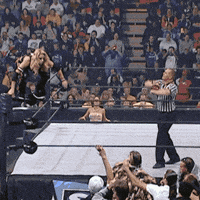 Survivor Series Wwe GIF by Trish Stratus