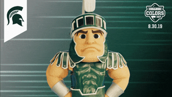 College Sports Mascots GIF by College Colors Day