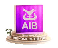 Homeoftheyear Sticker by AIB