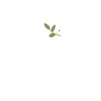 bird fly Sticker by Flower Chimp