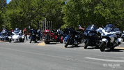 motorcycles flag waving GIF by Off The Jacks