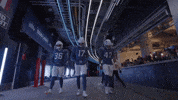 Football Nfl GIF by New England Patriots