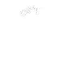 Arosacruises Sticker by A-ROSA Kreuzfahrten