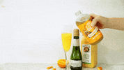 bigeasybucha mom drinks cocktails kombucha GIF