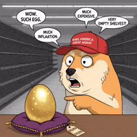 Shocked Shiba Inu GIF by Doge Pound