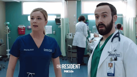 the resident fox GIF