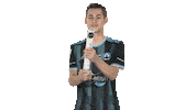 Hamburger Sv Esports Sticker by Bundesliga