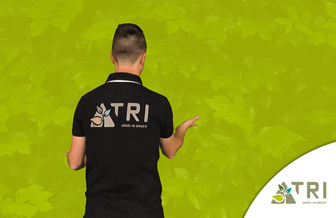 Boom Plant GIF by TRI Groei in Groen