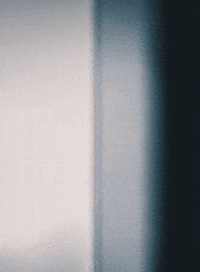 Vote Munich GIF by Grüne München