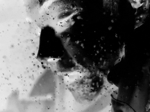 Shut Up GIF by Nettspend