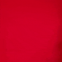 Lexy Hightower GIF by Texas Tech Women's Basketball