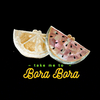 Emmkuo vacation sunshine lemon watermelon GIF